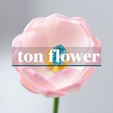 Купить рекламу в Telegram-канале Ton Flower